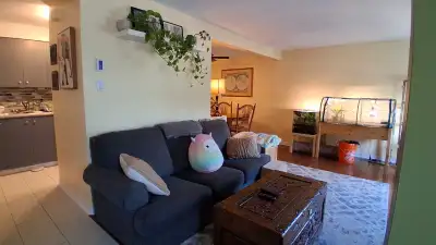 Room for rent for rent in Orleans. I have a 2 bedroom 1.5 bathroom condo located close to transit, a...