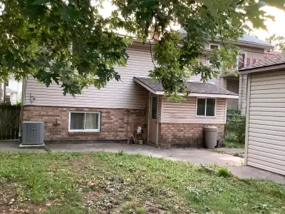 A nice female room for rent