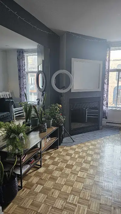 Chambre alouer a 1 mm du métro Berri-UQAM. Appartement complètement équipé. 2 Laveuse+sécheuse. Inte...