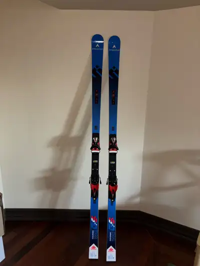 dynastar 188 womens fis worldcup ski GS, View more