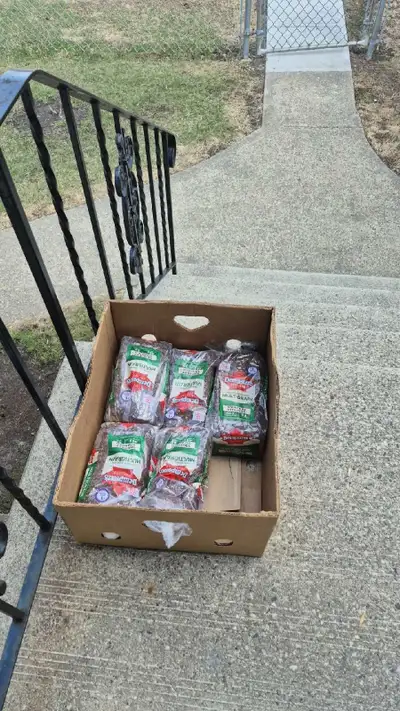 Free multi grain bread, View more
