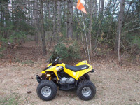 2016 Can Am DS 90 Youth ATV
