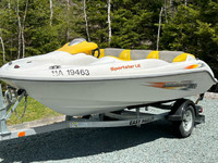 2002 Sea Doo Sportster LE with New 2023 Easy Hauler Boat Trailer