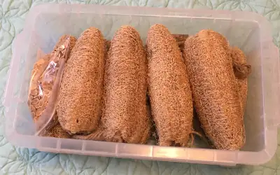 Bulk Lot: 9 Natural Homegrown Loofah Sponges + Organic Seed Pack, View more