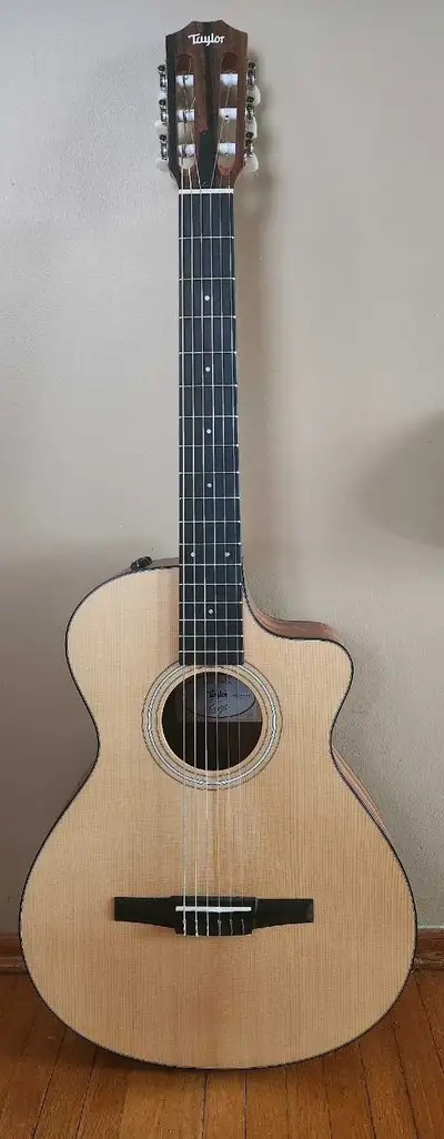 Taylor Nylon String Guitar, View more