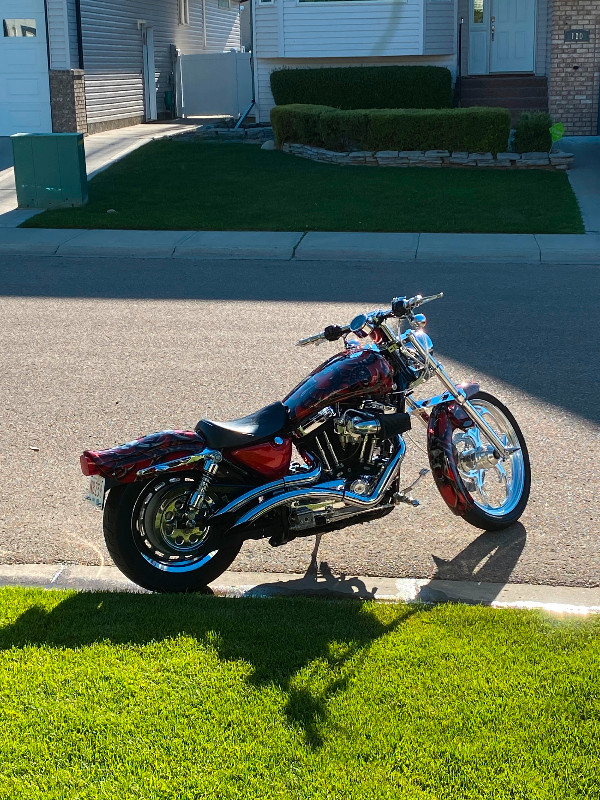 2003 Harley Davidson Sportster XL 1200C in Street, Cruisers & Choppers in Medicine Hat - Image 3