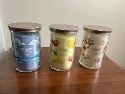 Yankee Candle 2-wick 20 oz large tumbler, View more