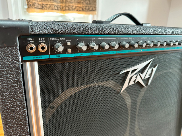 Classic 90’s Peavey Stereo Chorus 130w 2 x 130w SCORPION speaker in Amps & Pedals in Ottawa - Image 4