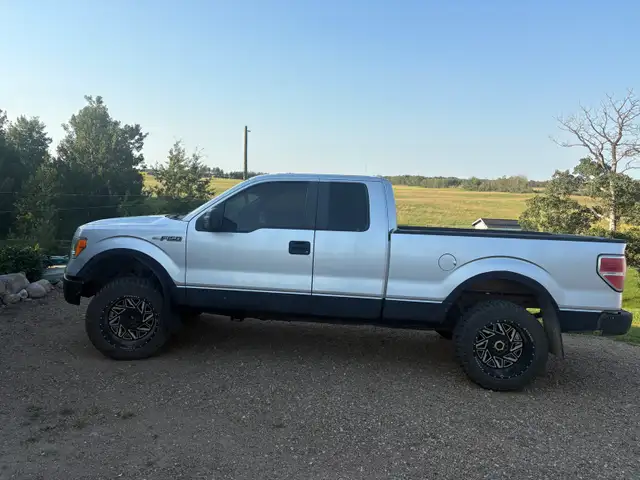 2010 ford f150