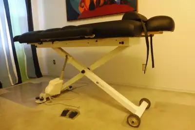 Earthlite Ellora Electric Lift Massage Table – Mint Condition, View more