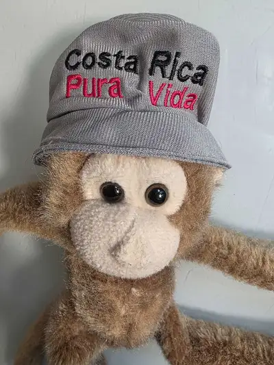 Plush monkey souvenir from Costa Rica. It's in great condition and has a fun little hat that says "C...