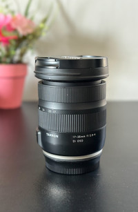 Tamron 17-35mm f/2.8-4 DiOSD and brand new canon ef eos r mount