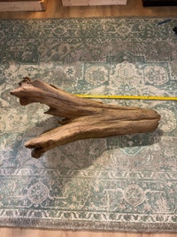DRIFTWOOD (XL) Oakville / Halton Region Toronto (GTA) Preview