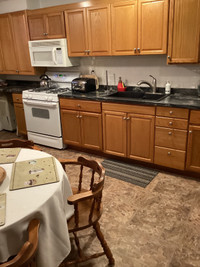Long or short term bachelor apartment weekly  $350.
