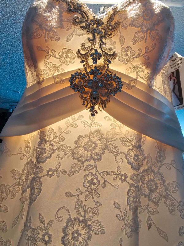 DAVINCI SIZE 10 WEDDING DRESS (SUGGESTED RETAIL $1170) in Wedding in Edmonton