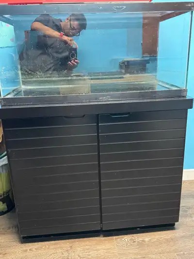 40 gallon breeder tank, View more