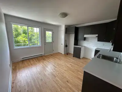 Beau grand 5 1/2 , (Viens tout juste d’être repeint au complet et Plancher sablé et verni). Dans un...