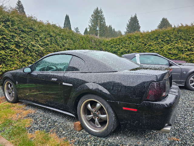 2003 Ford Mach 1 supercharged Project car in Cars & Trucks in Delta/Surrey/Langley