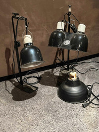 Reptile light domes and stands 