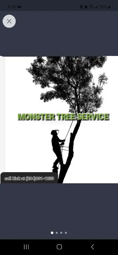 FREE ESTIMATES. Very competitive rates. We do tree removal, tree trimming and stump grinding. (204)8...