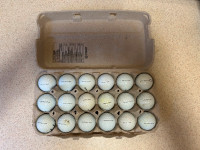 .55 Cents Pre-Owned Used Golf Balls Great Condition  Pro V1