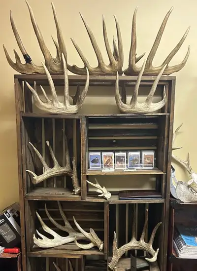 Top shelf too bottom- Consecutive set and single, set goes 204 and single goes 90+. SOLD 2 consecuti...