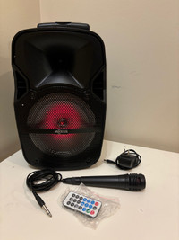 Axess speaker 8” with microphone 