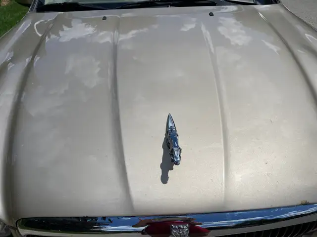 Jaguar X-Type513987934274856963