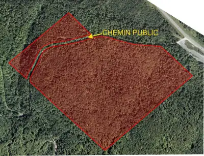 - Superficie : Approx. 90 acres - Chemin public traversant le terrain - Près de la frontière du Québ...