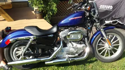 Harley Davidson Sportster 883 XL 2007 4 500$ Ville de Québec Raison de la vente : Santé Va très bien...
