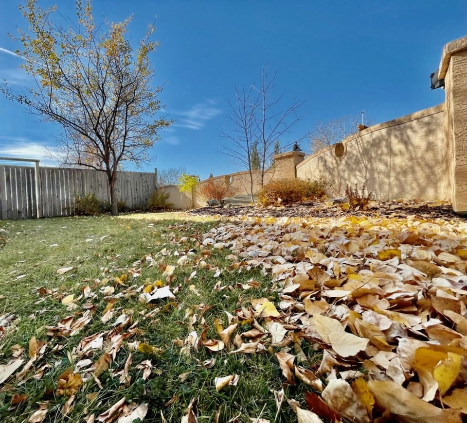Furnished 3 Bedroom 2 Bathroom House by East Lake — Pet Friendly 3