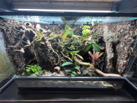 Custom Built Terrariums, Vivariums and Paludariums. 