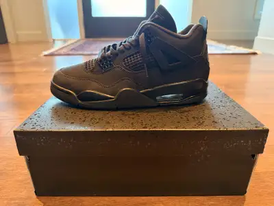 Air Jordan 4 Black Cat (2025), View more
