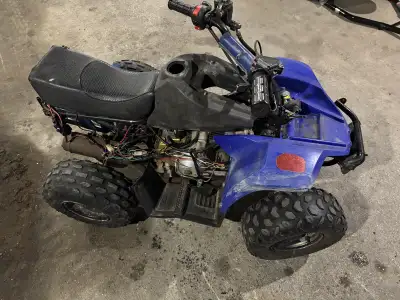youth atv. Unknown condition. i don’t know anything about it. Could be used for Parts or restoration...
