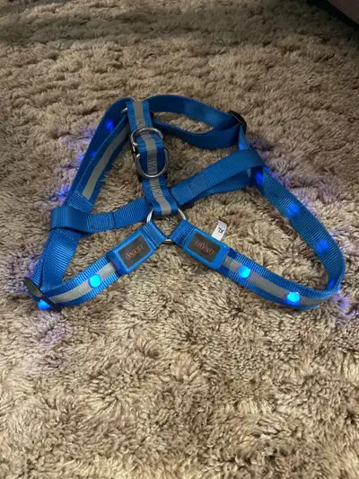 XL Dog Halter, View more