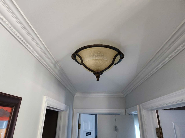 Ceiling light in Indoor Lighting & Fans in Saint John - Image 2