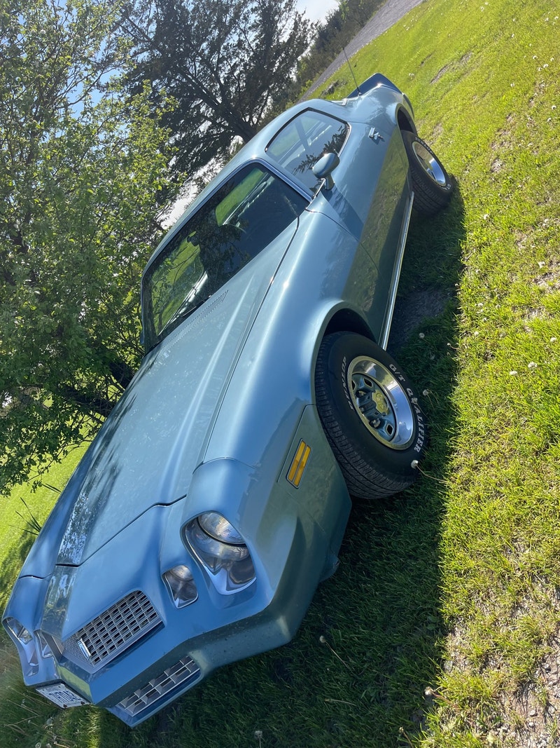 1981 Chevy Camaro Classic Cars Napanee Kijiji