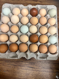 Farm Fresh Eggs