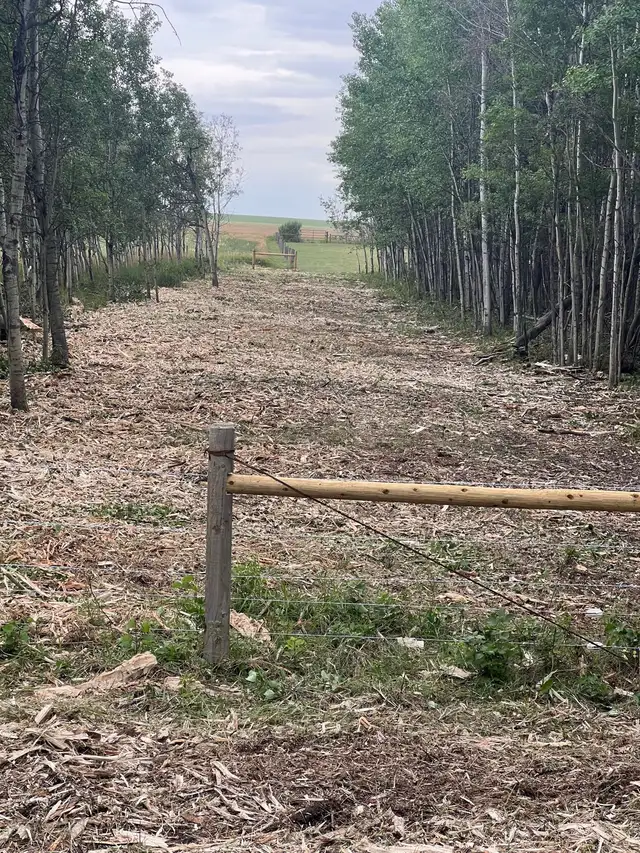 Mulching and Heavy Brushing 62864358366723122