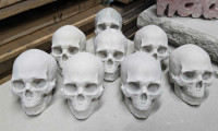 Concrete skulls forsale
