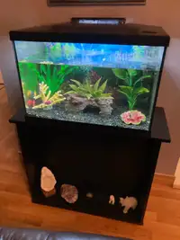 Aquarium 20 gallons 