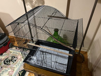 Belle cage d'oiseau
