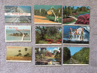 Vintage Post Cards from Florida