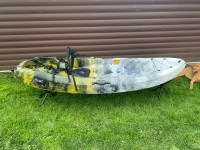 New Kayak - 1 Adult Plus 1 Child Or Dog!