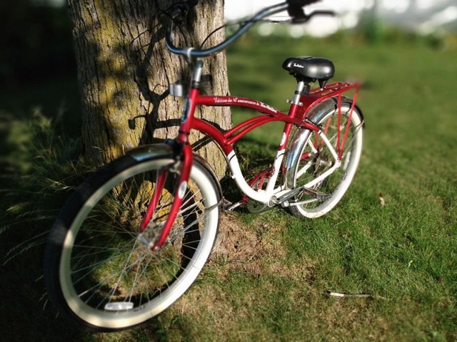 tim hortons schwinn bike