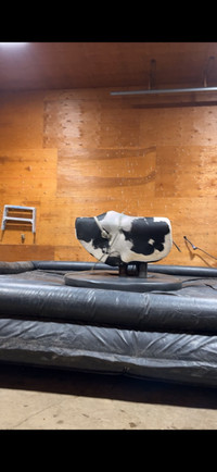 Mechanical bull rental 