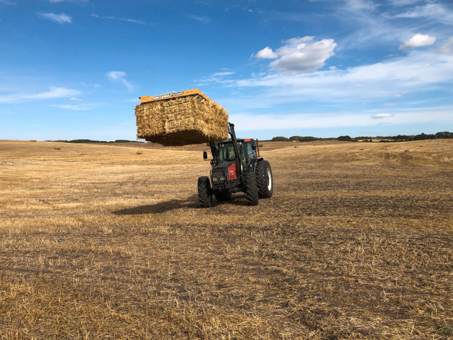 small square bales of straw in Livestock in Red Deer