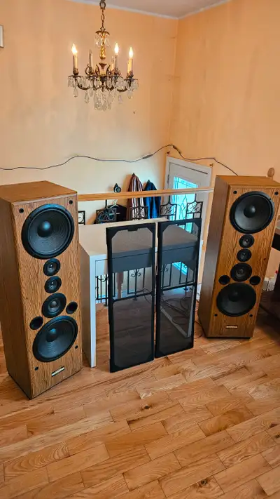 Model Cs g911 made in japan, great sounding speakers comes with new long connecting cables