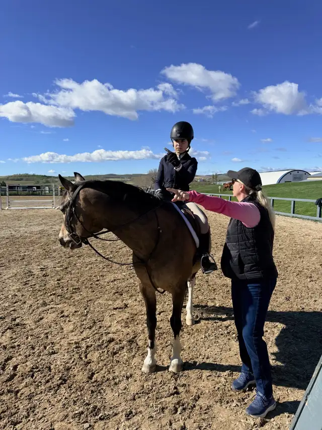 Horse Riding Lessons483716539205570563