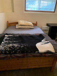 Furnished single room available November 